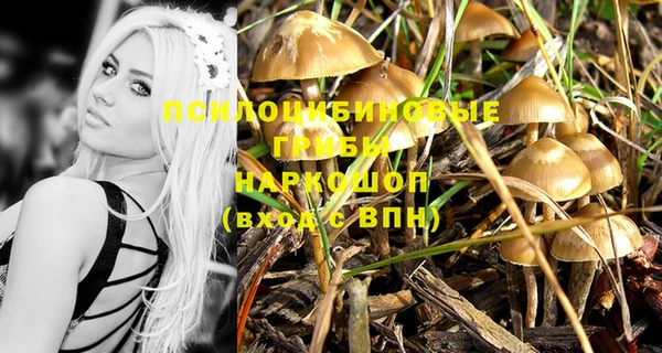 каннабис Бородино