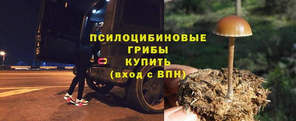 a pvp Богданович